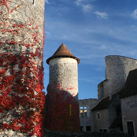 Chateau D'Ingrandes Ingrandes  エクステリア 写真