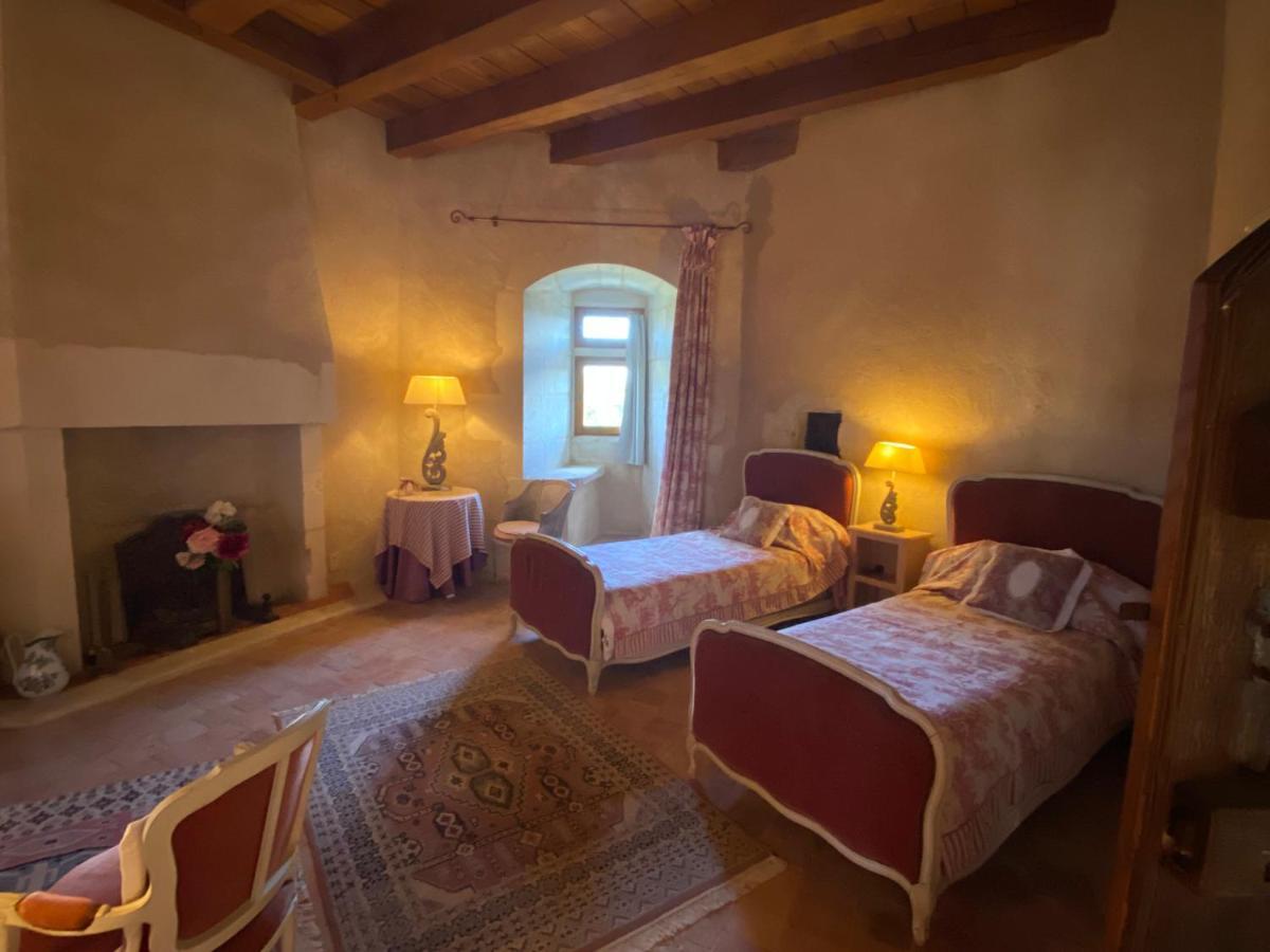 Chateau D'Ingrandes Ingrandes  エクステリア 写真