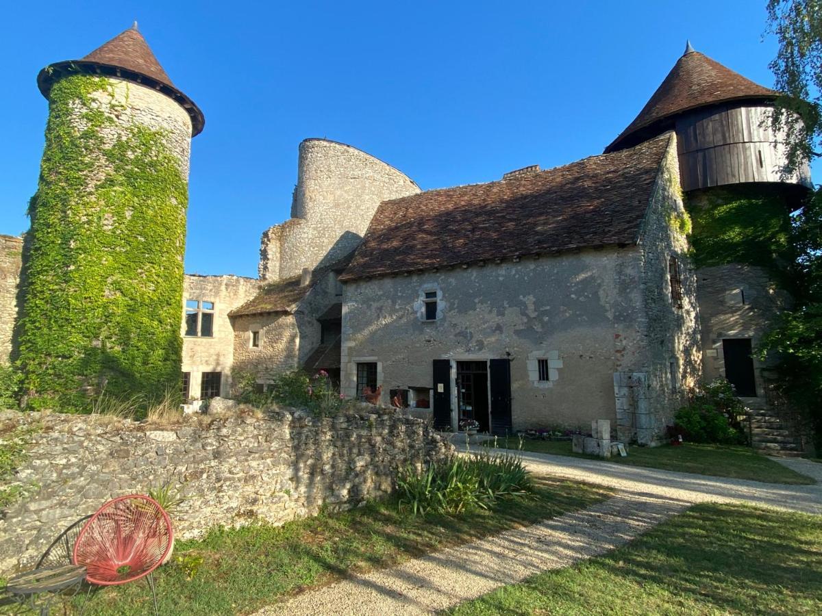 Chateau D'Ingrandes Ingrandes  エクステリア 写真