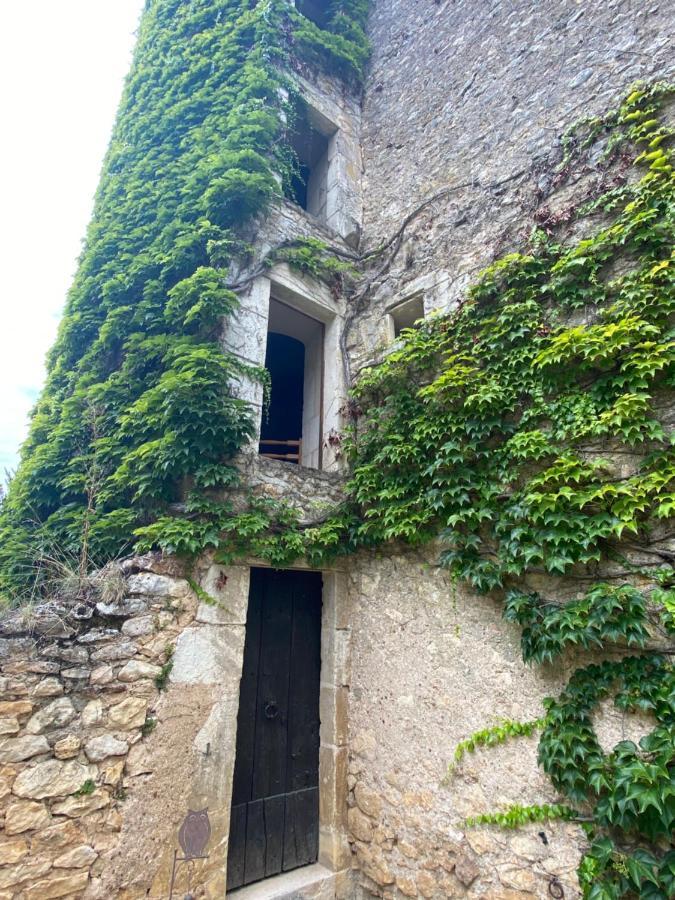 Chateau D'Ingrandes Ingrandes  エクステリア 写真