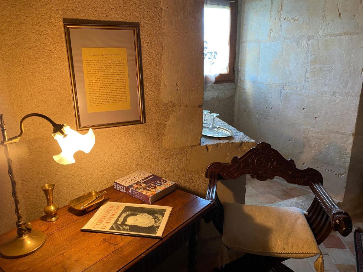 Chateau D'Ingrandes Ingrandes  エクステリア 写真