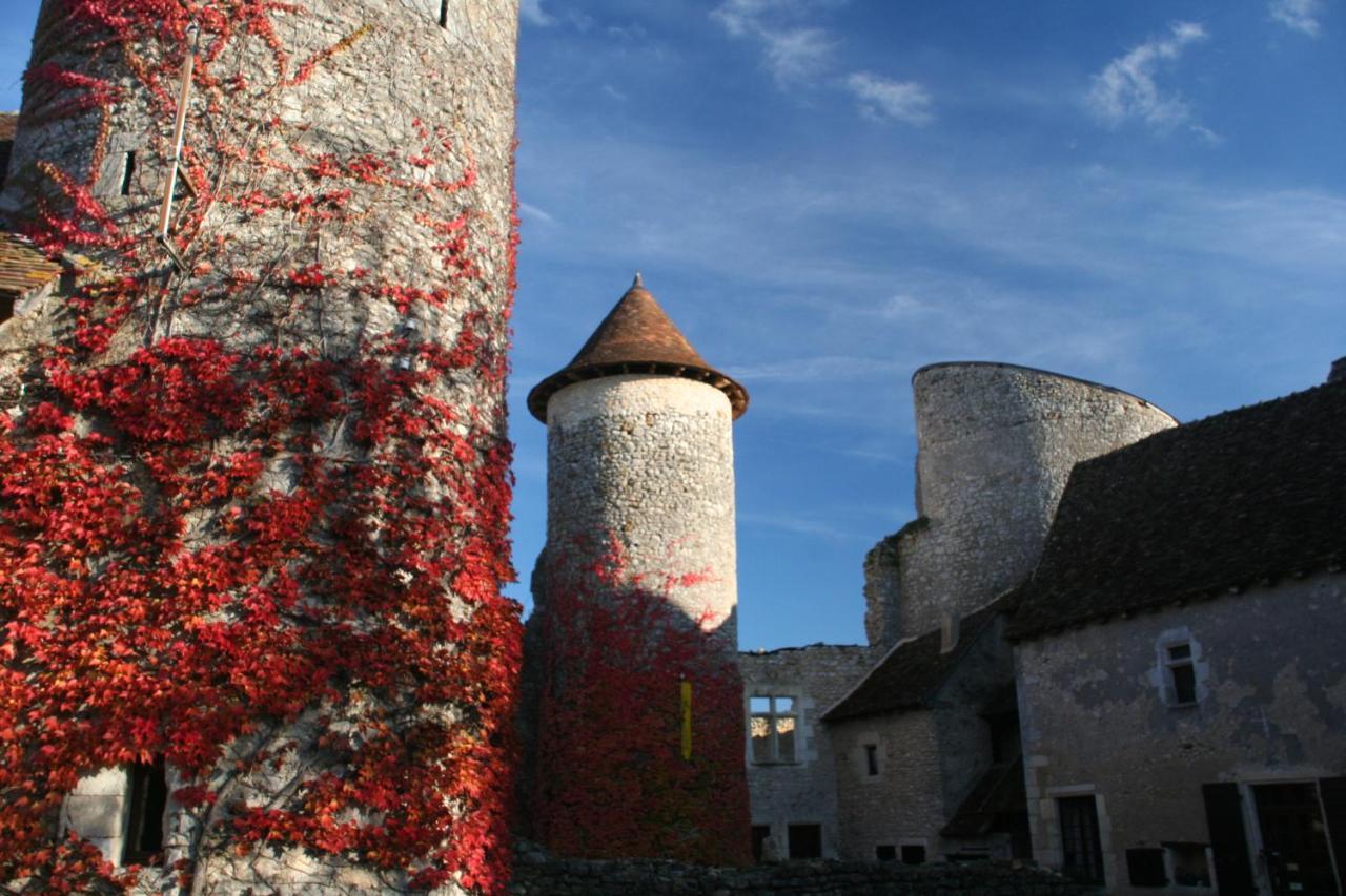 Chateau D'Ingrandes Ingrandes  エクステリア 写真
