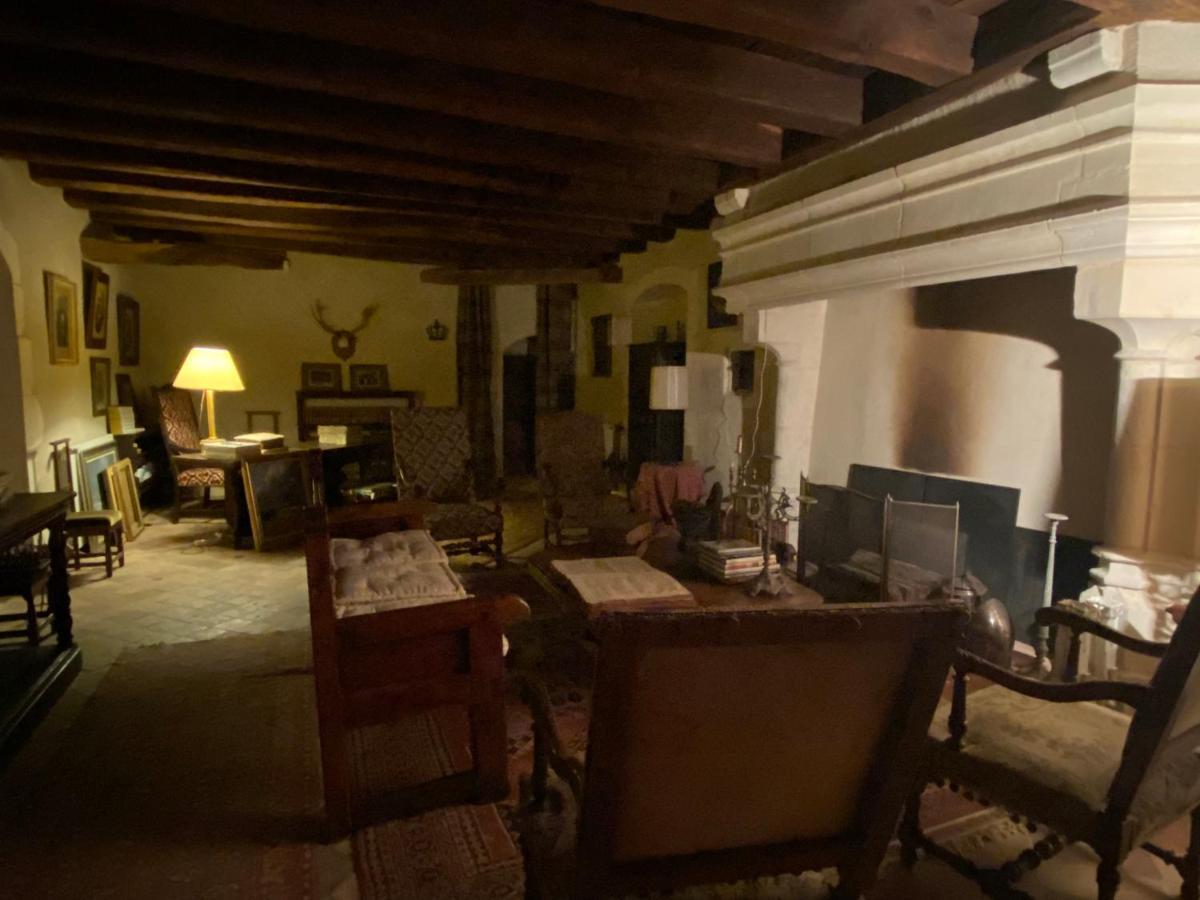 Chateau D'Ingrandes Ingrandes  エクステリア 写真