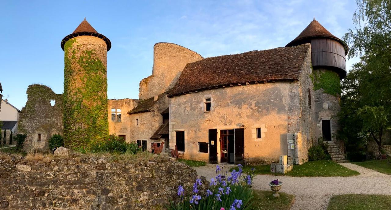 Chateau D'Ingrandes Ingrandes  エクステリア 写真