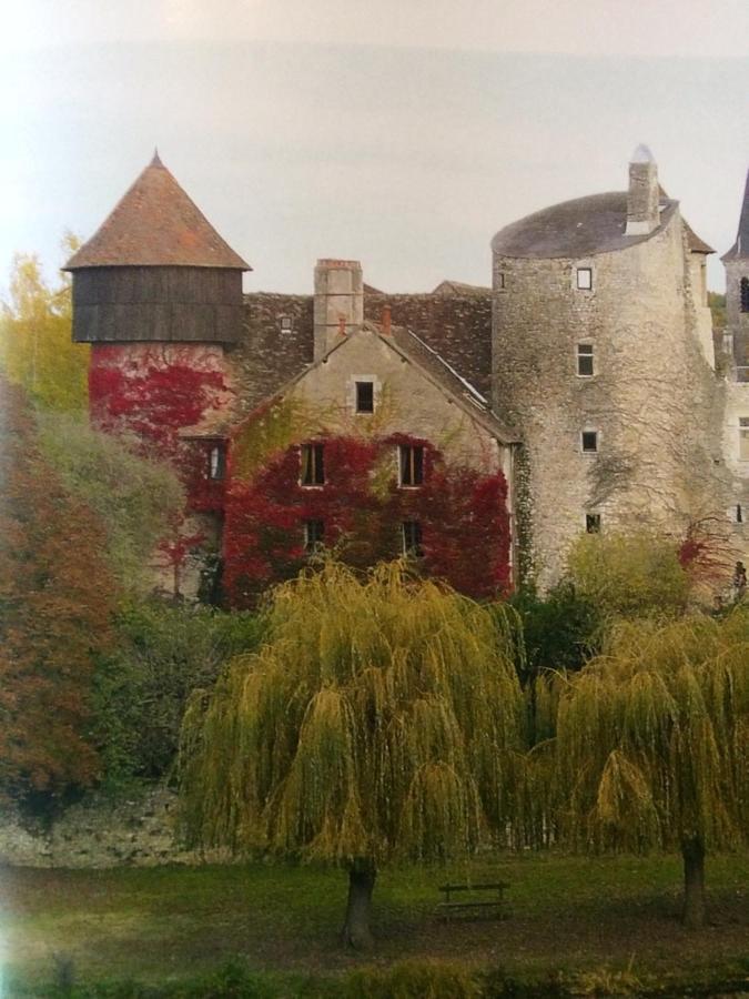 Chateau D'Ingrandes Ingrandes  エクステリア 写真