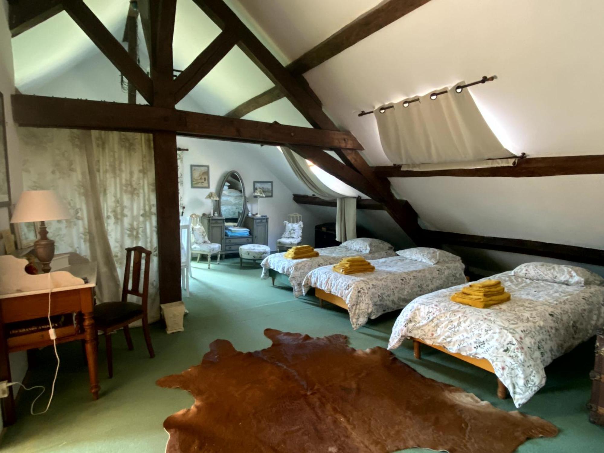 Chateau D'Ingrandes Ingrandes  部屋 写真