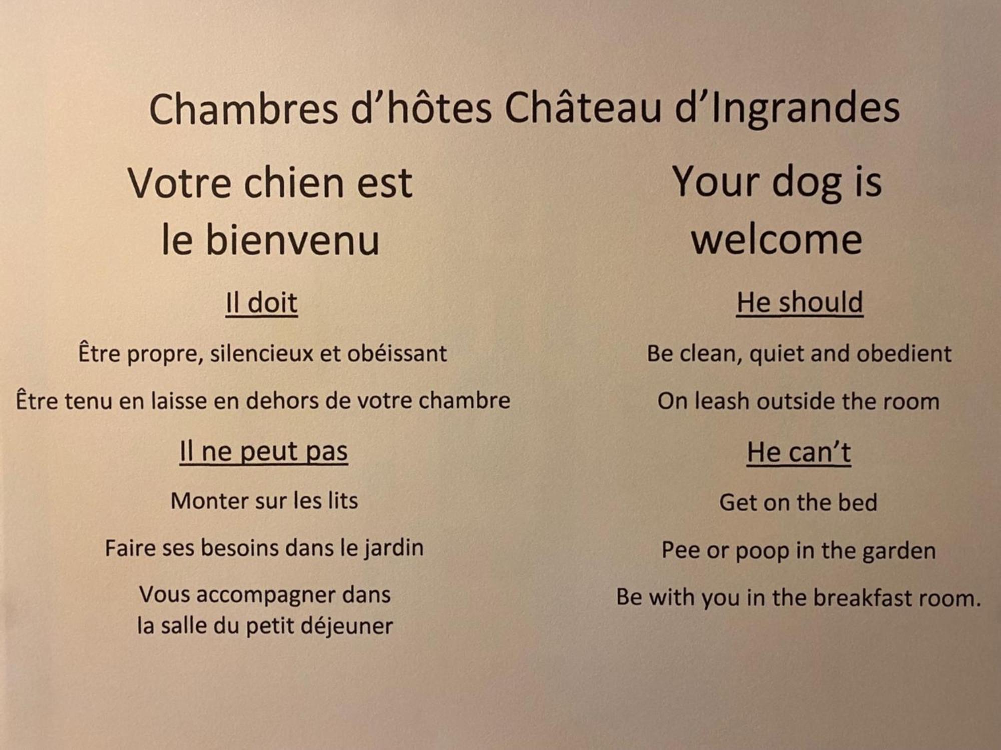 Chateau D'Ingrandes Ingrandes  エクステリア 写真