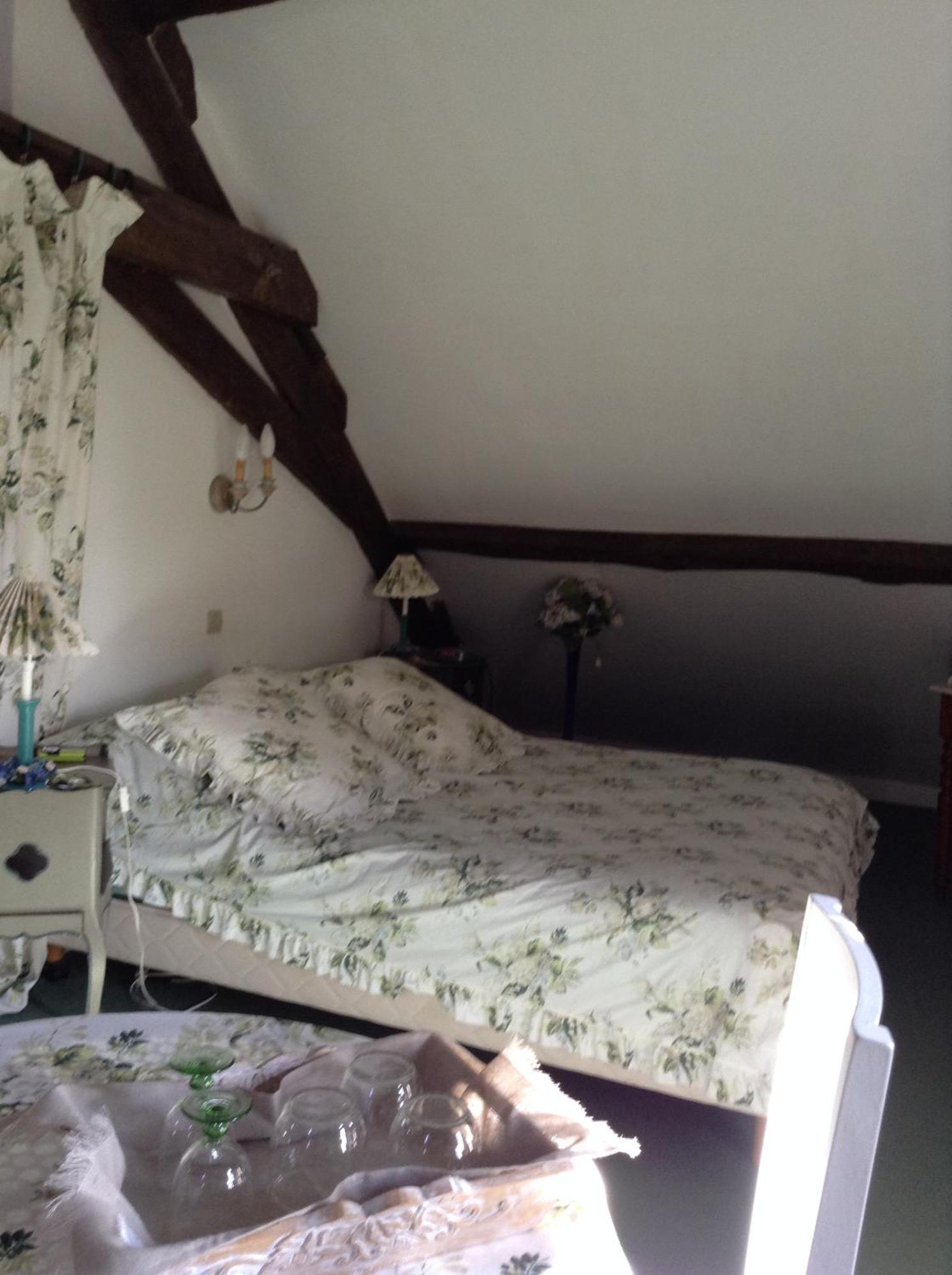 Chateau D'Ingrandes Ingrandes  エクステリア 写真