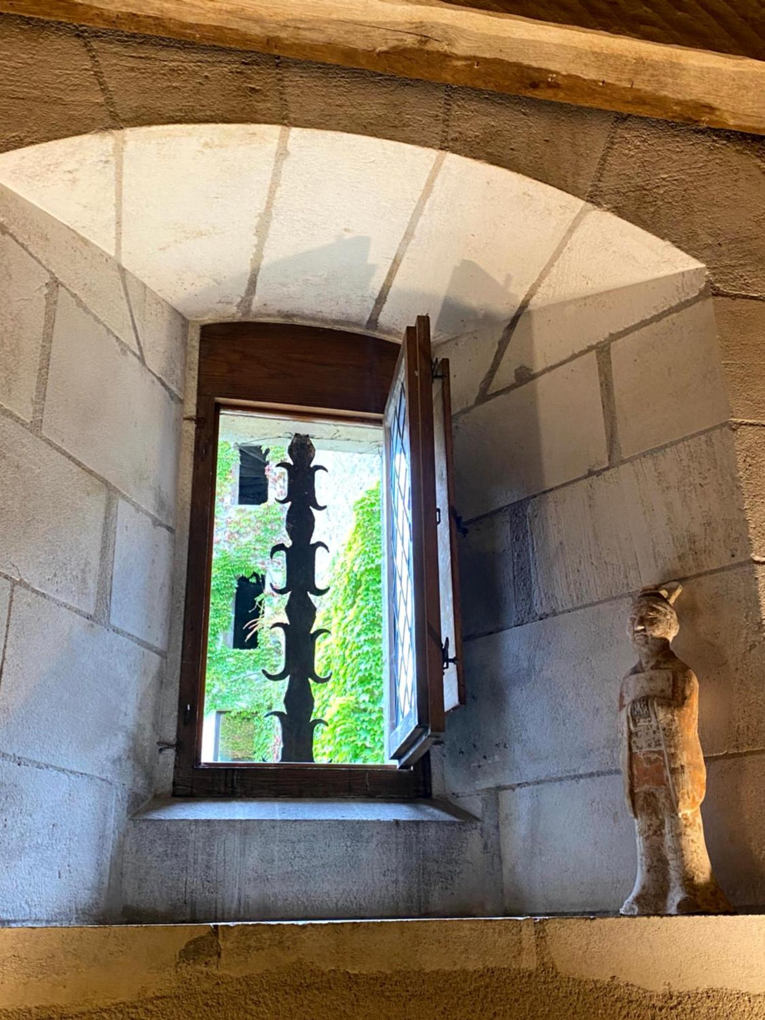 Chateau D'Ingrandes Ingrandes  部屋 写真