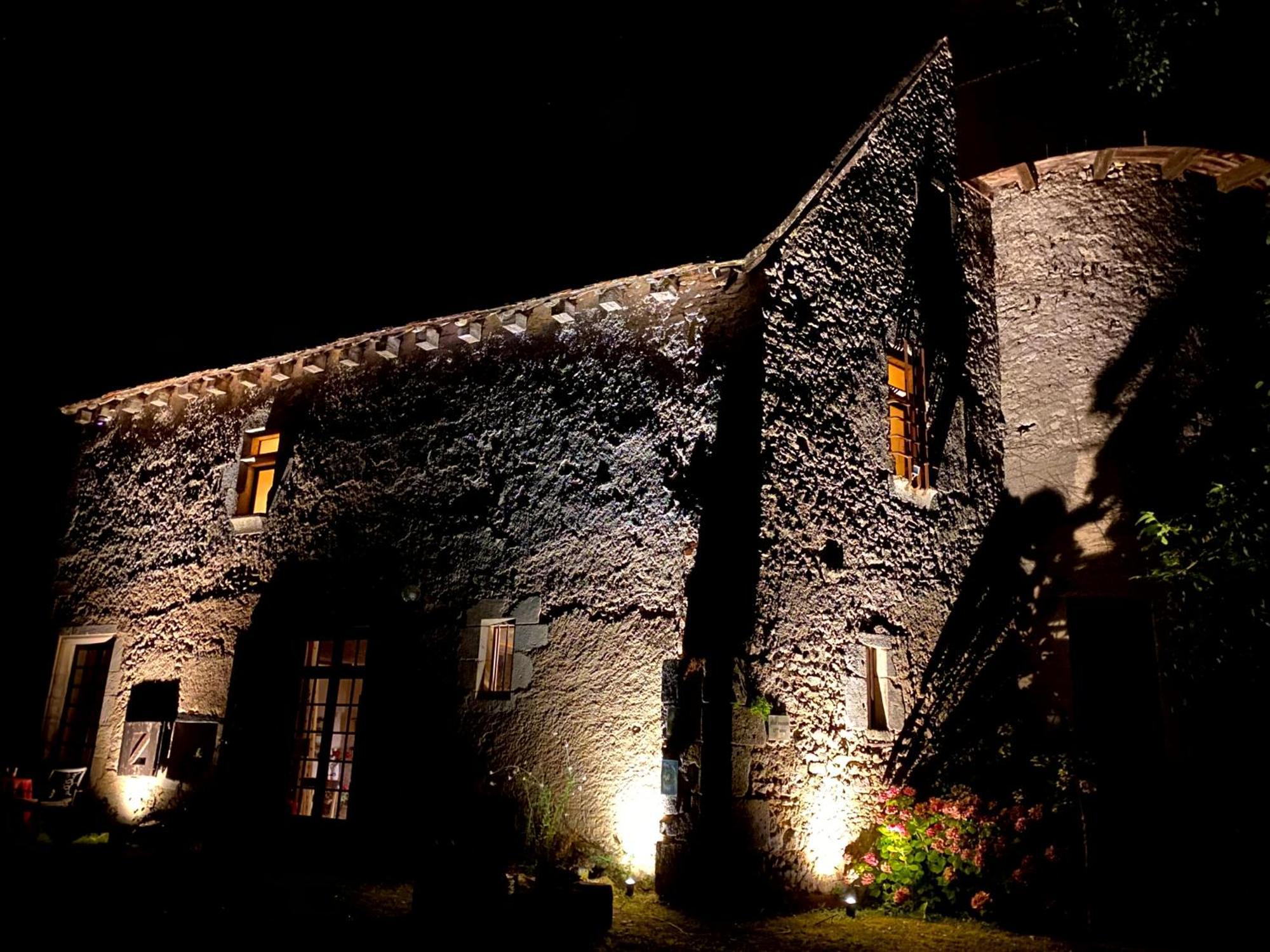 Chateau D'Ingrandes Ingrandes  エクステリア 写真